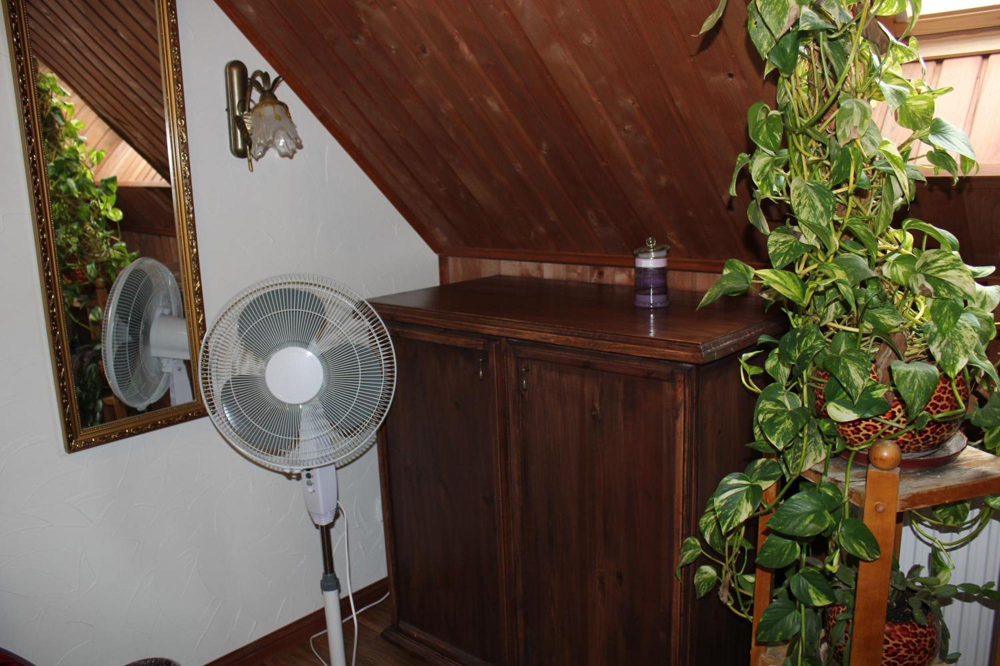 Krapi Guesthouse Treimani ห้อง รูปภาพ